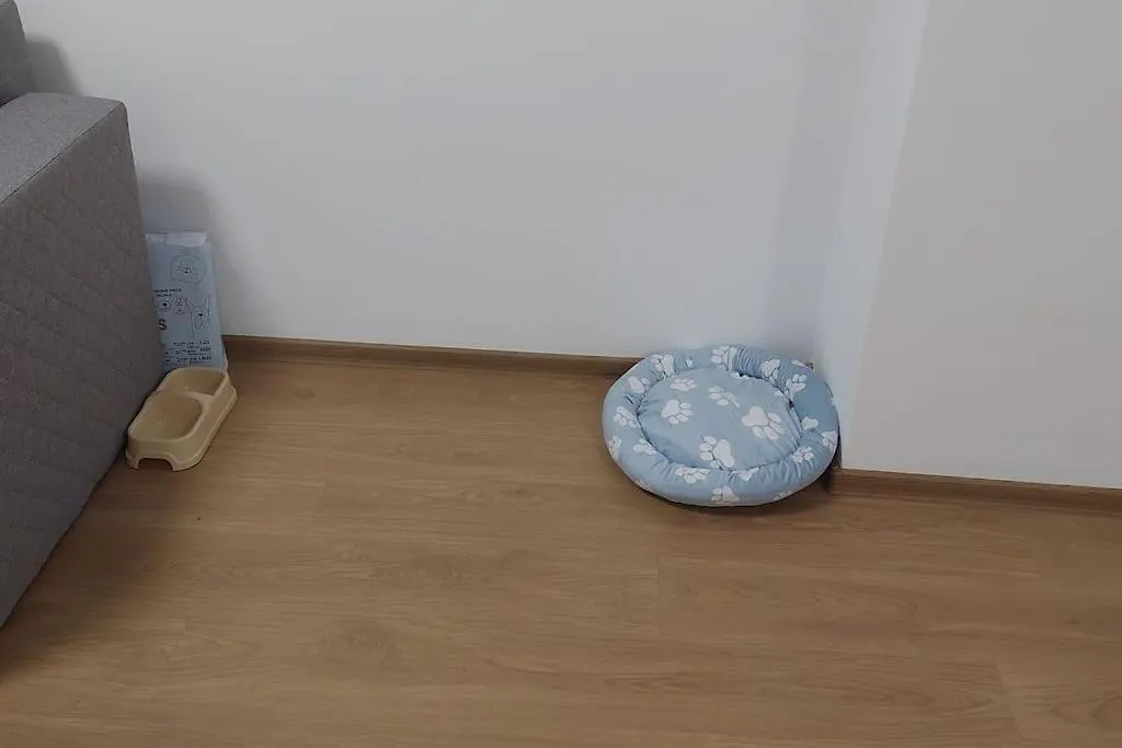 Apartamentul Relaxarii M&F Bucharest 0*,  Romania